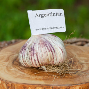 Organic Argentinean Garlic Bulb