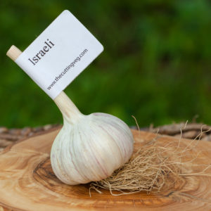 Organic Israeli Garlic Bulb