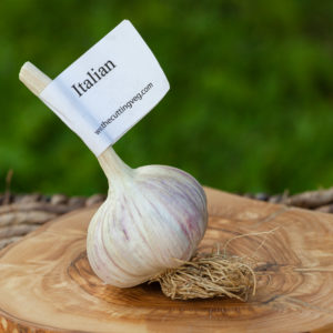 Organic Italian Garlic Bulb