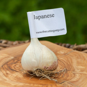 Organic Japanese Garlic Bulb