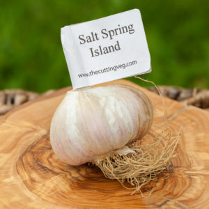 Organic Salt Spring Island Garlic Bulb
