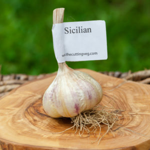 Organic Sicilian Garlic Bulb